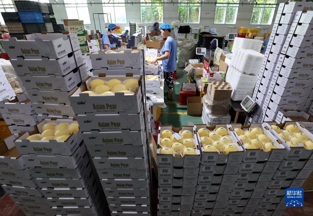 斗牛下载送金币